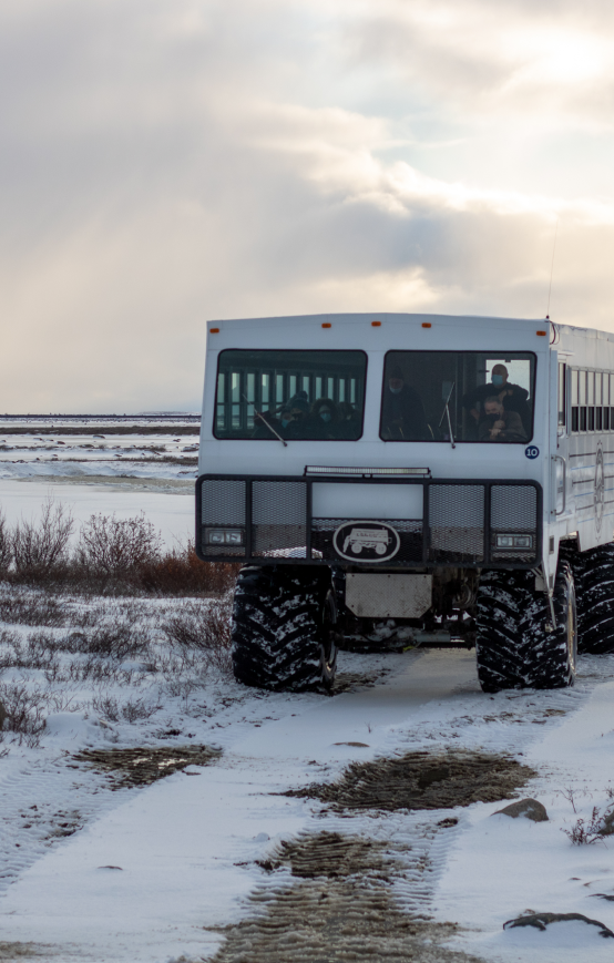 The “Tundra Buggy” Experience!