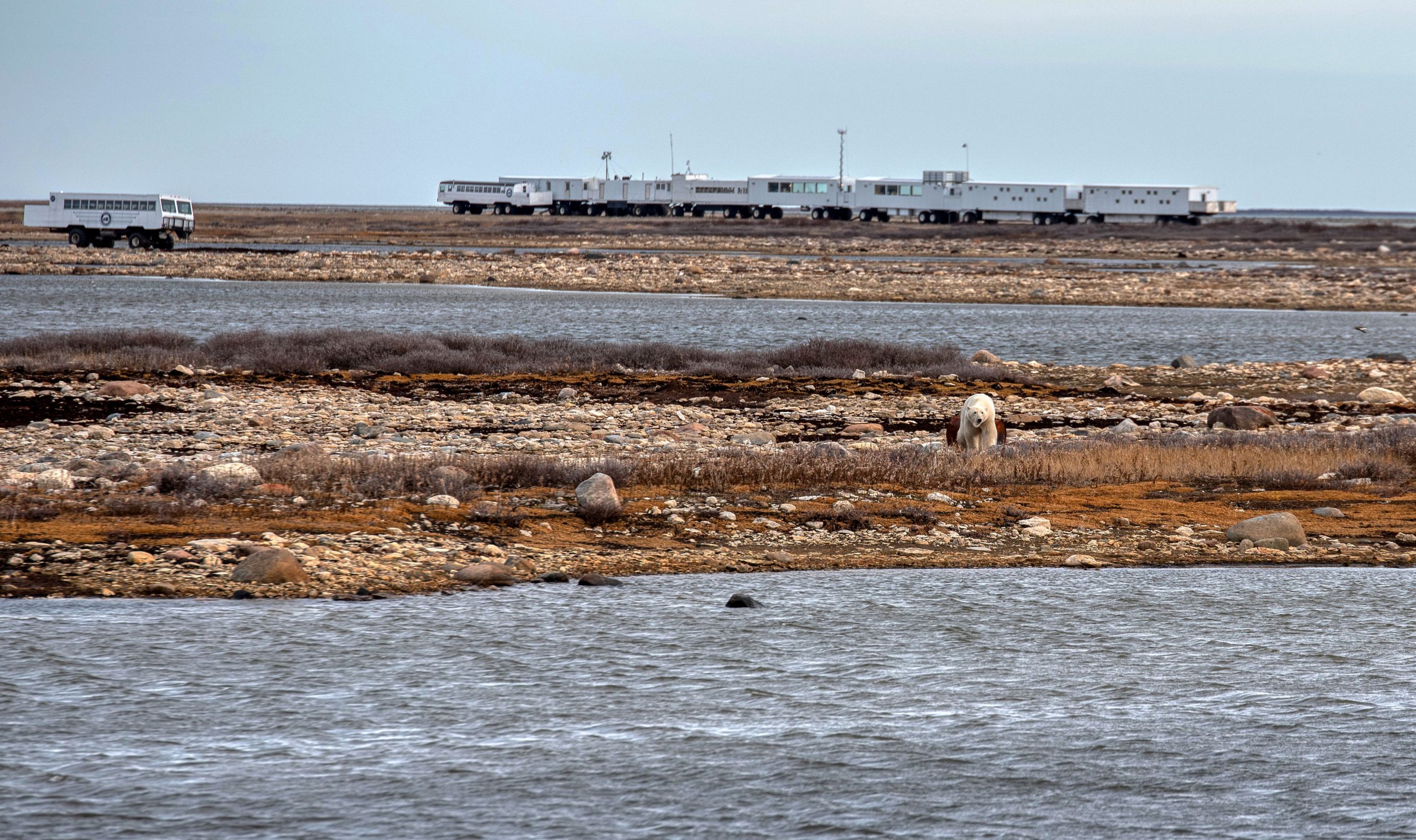 Crediting is required when using Frontiers North's photos. This means you have to credit both the photographer and Frontiers North Adventures using the following convention: © Photographer's Name/Frontiers North Adventures.
Image Caption:
The Tundra Buggy Lodge in early autumn. The lodge is situated in the heart of polar bear country in the Churchill Wildlife Management Area, home to the largest concentration of polar bears in Churchill. Enjoy the polar bears, day or night, as their lives unfold before your eyes.