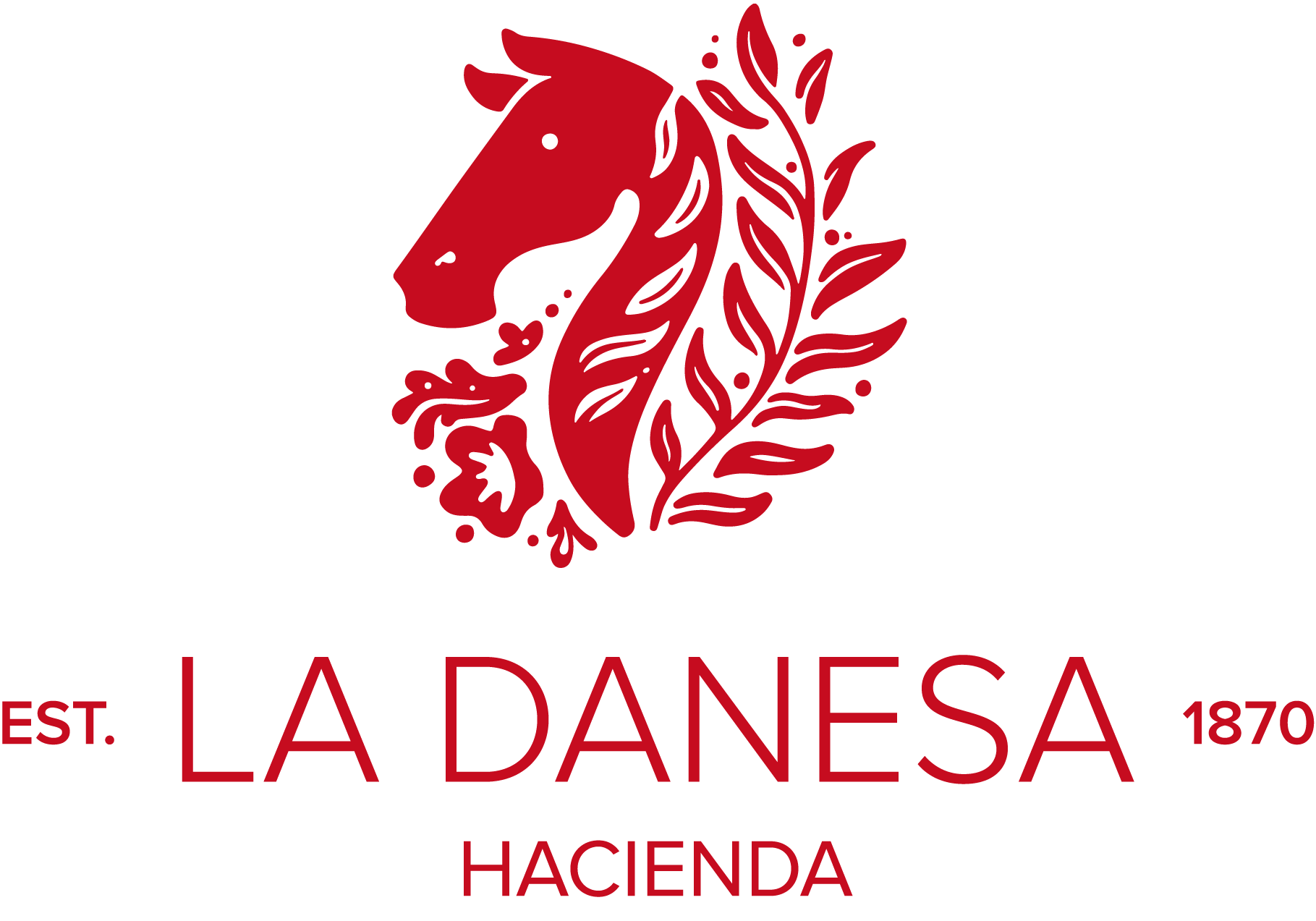 DANESA 2