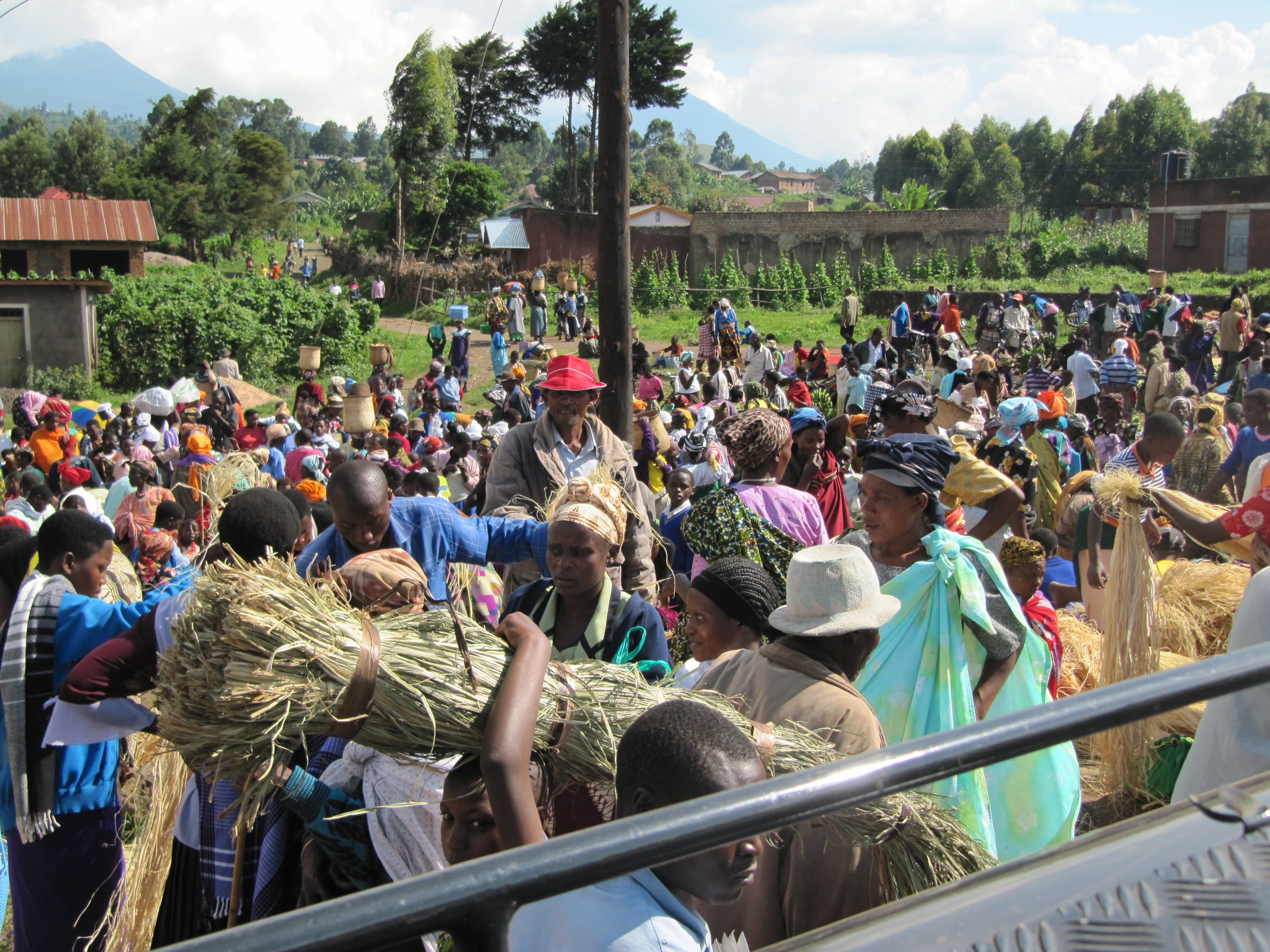 ca16ad5aa559ddfe0fb0aaad446b9f31