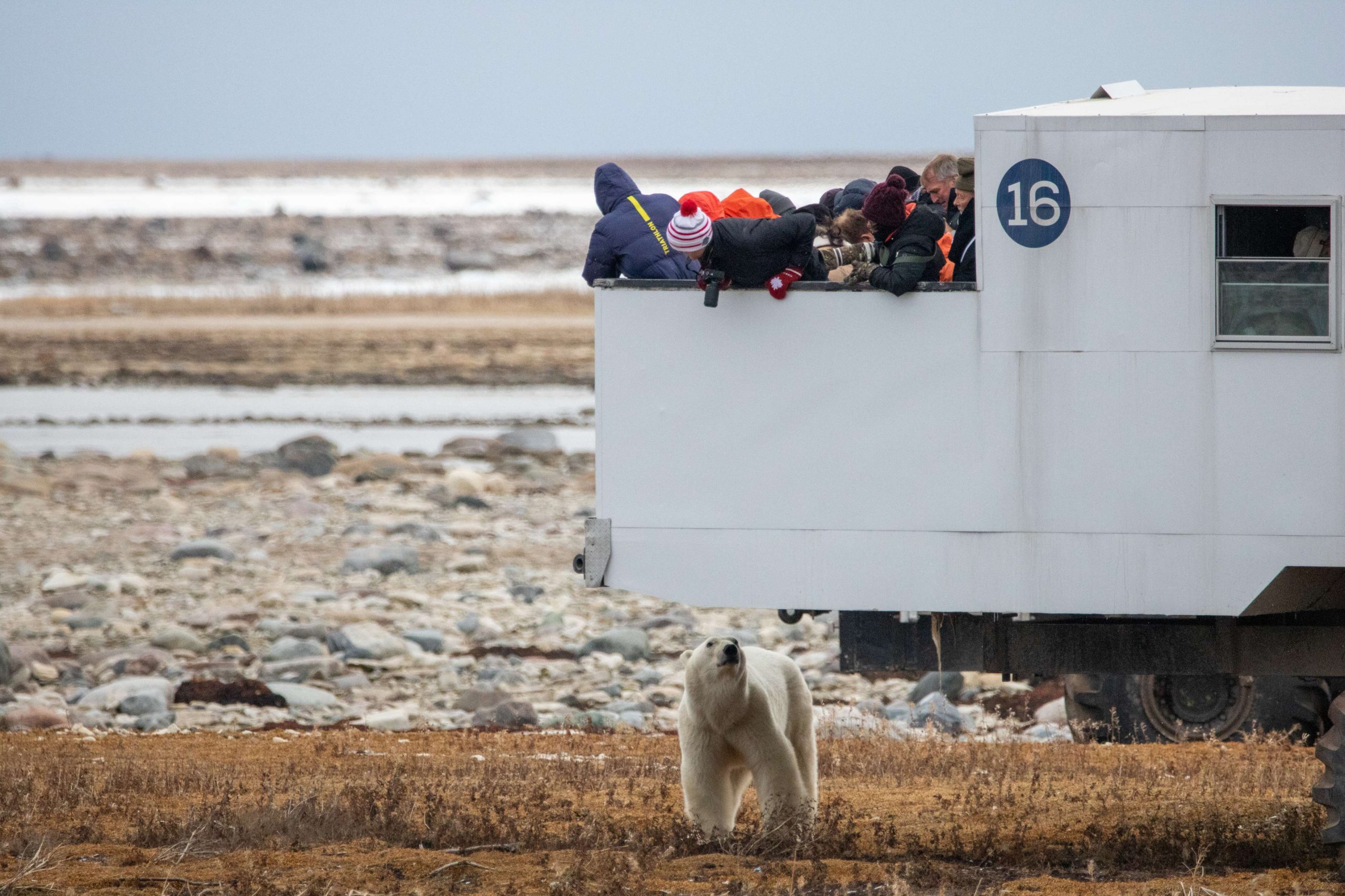 Alex Cupeiro--3943 (1)