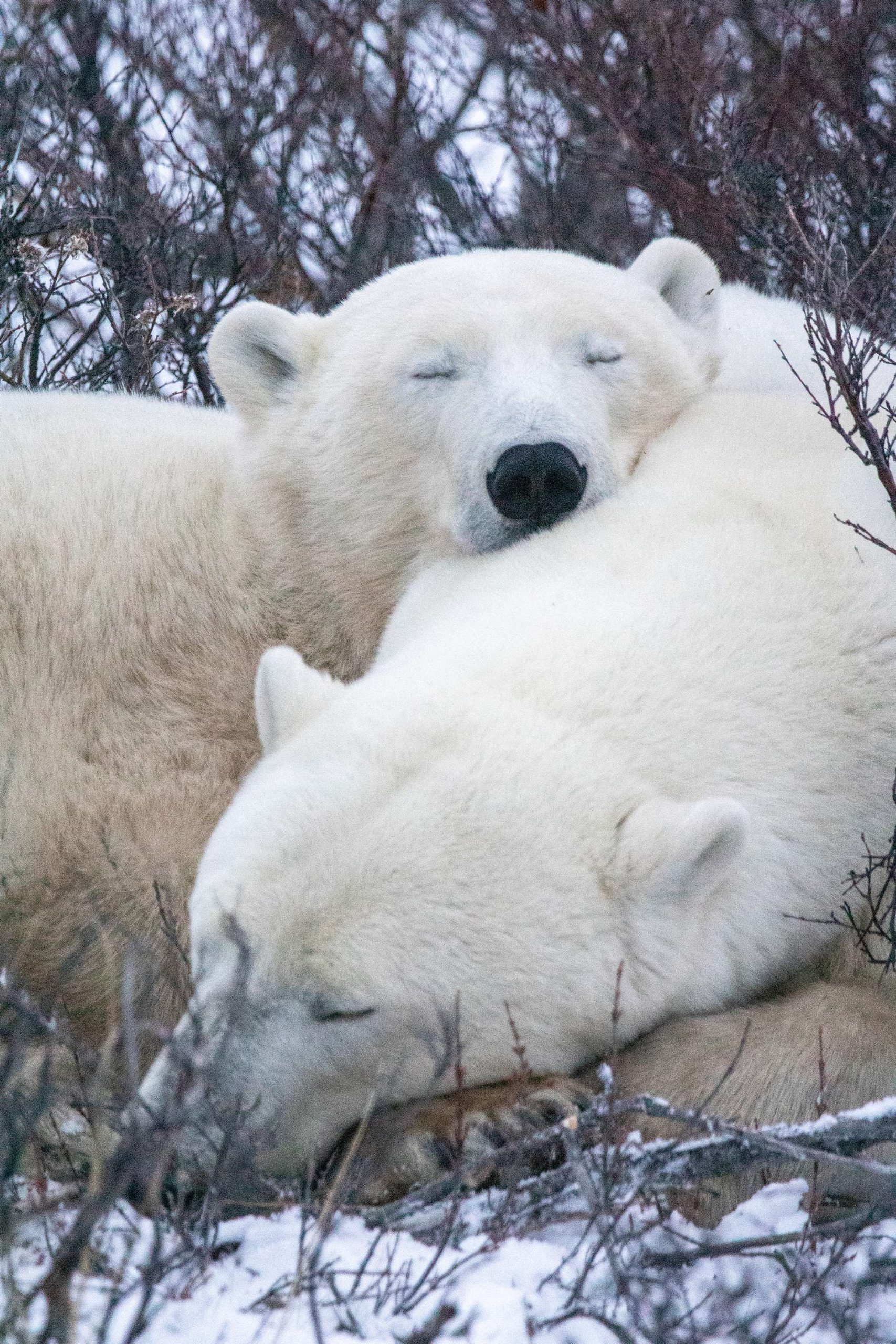 Alex CupeiroIMG_3283 (2)s