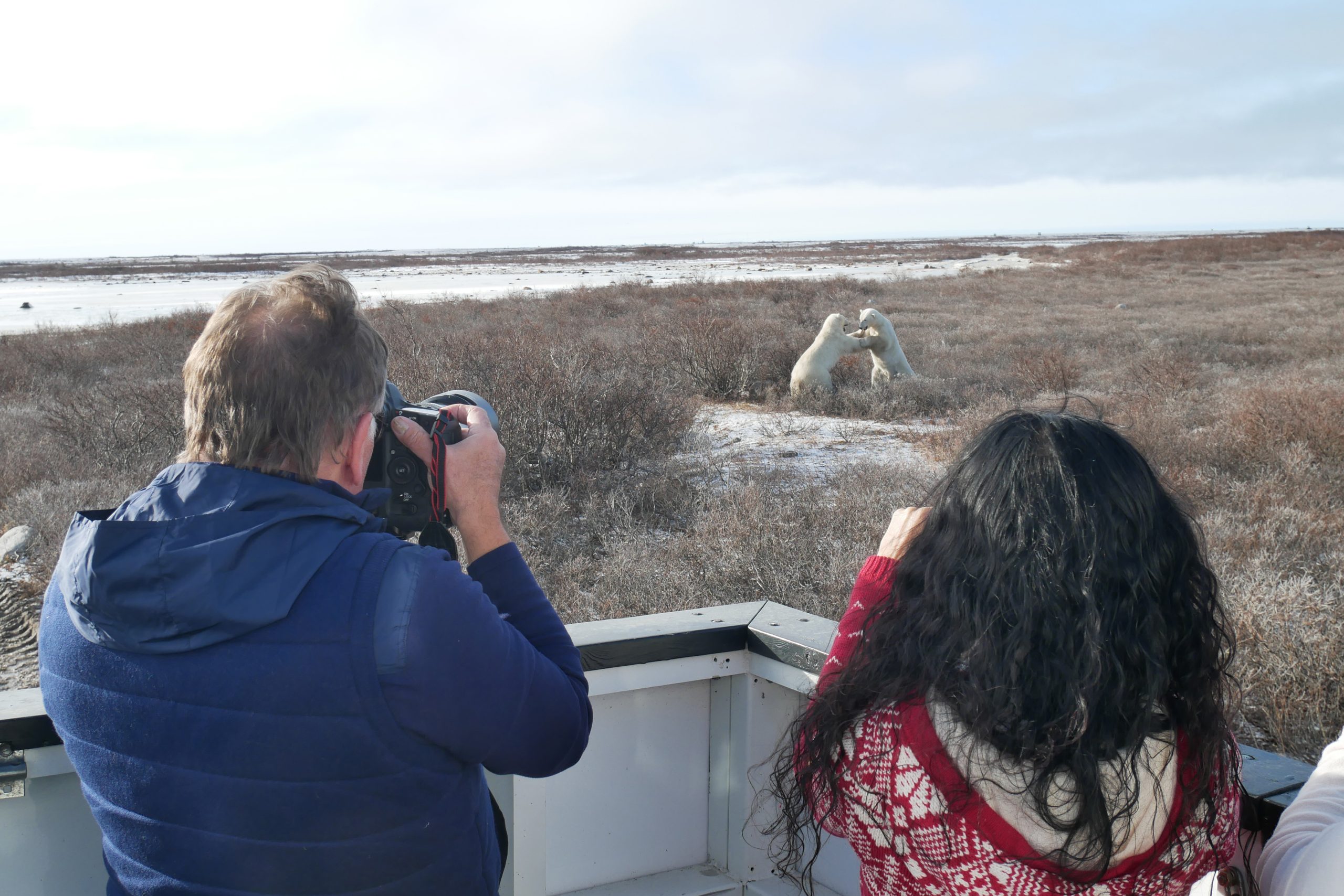 Crediting is required when using Frontiers North's photos. This means you have to credit both the photographer and Frontiers North Adventures using the following convention: © Photographer's Name/Frontiers North Adventures.
Image Caption:
Experience an intimate encounter with a wild polar bear from an authentic Tundra Buggy®. Tundra Buggies are furnished with dual-pane frost-free windows. Each day, we depart early and board our Tundra Buggies looking for polar bears and other wildlife out on the tundra. Enjoy picnic style lunches and refreshments while you are bear watching.